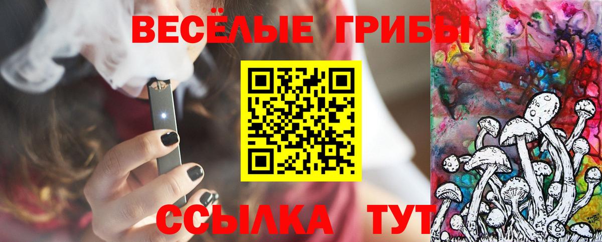 где продают наркотики  Вход с VPN  Сердобск  Галлюциногенные грибы MAGIC MUSHROOMS 